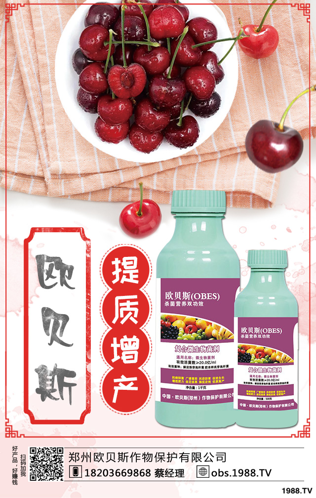 ��������ηNֲ������������༼�g(sh��)