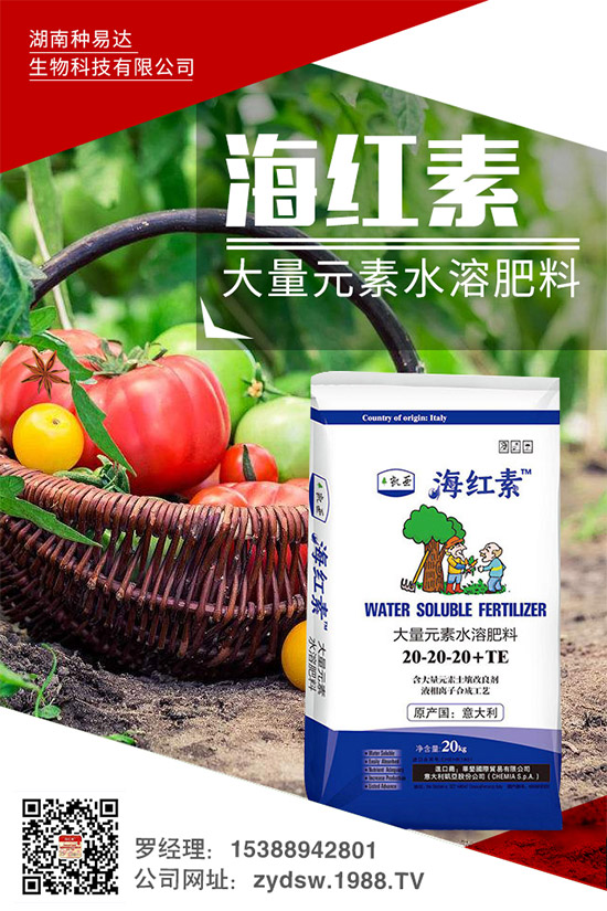 �＾��ݮ��ô�����＾�����ݮ�ĸ߮a(ch��n)���༼�g(sh��)���h(hu��n)��Ҫ��