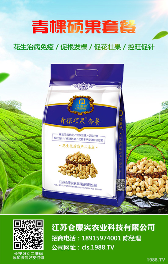 芹菜病毒病危害巨大，到底該如何防治？芹菜病毒病的防治措施