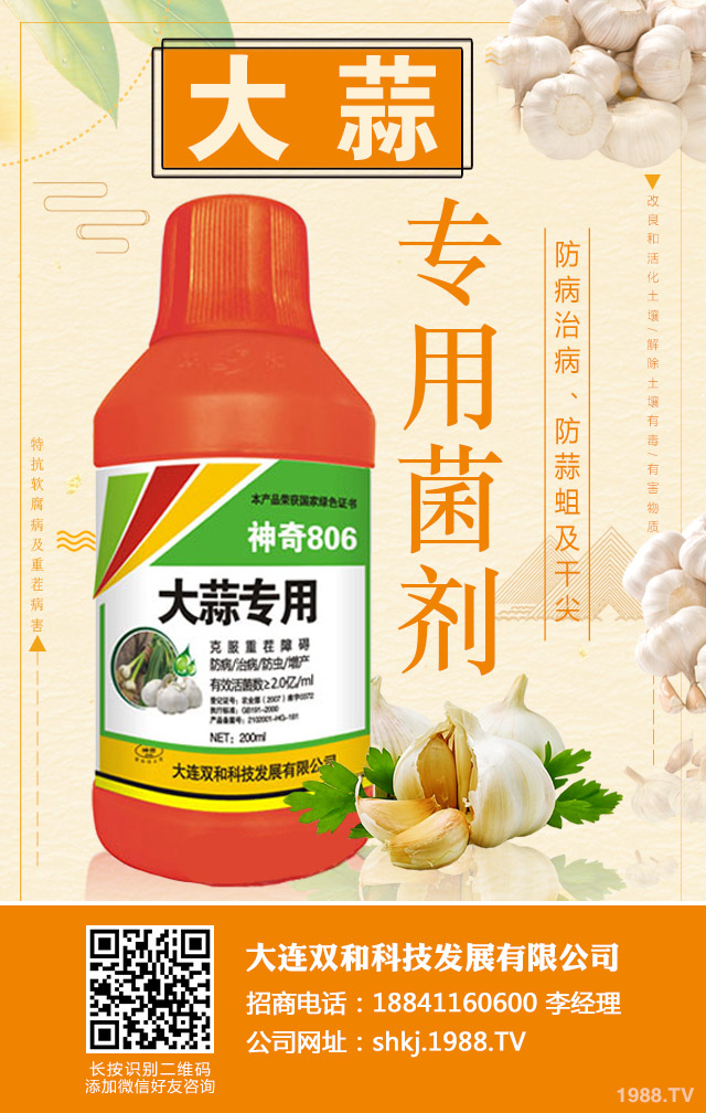 ��������ʲôԭ�t���������������ΰ�ԭ�t