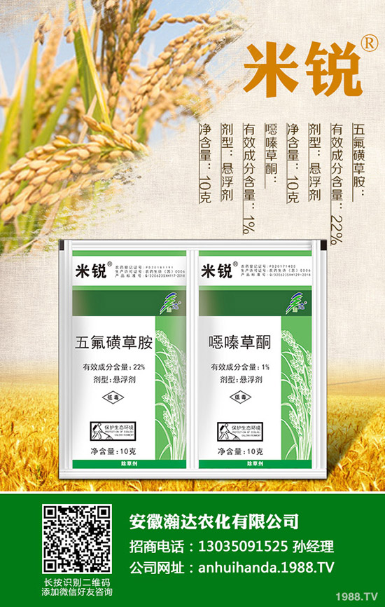 �Բ�������Щ��̎�����˵ĠI(y��ng)�B(y��ng)�r(ji��)ֵ����Щ��