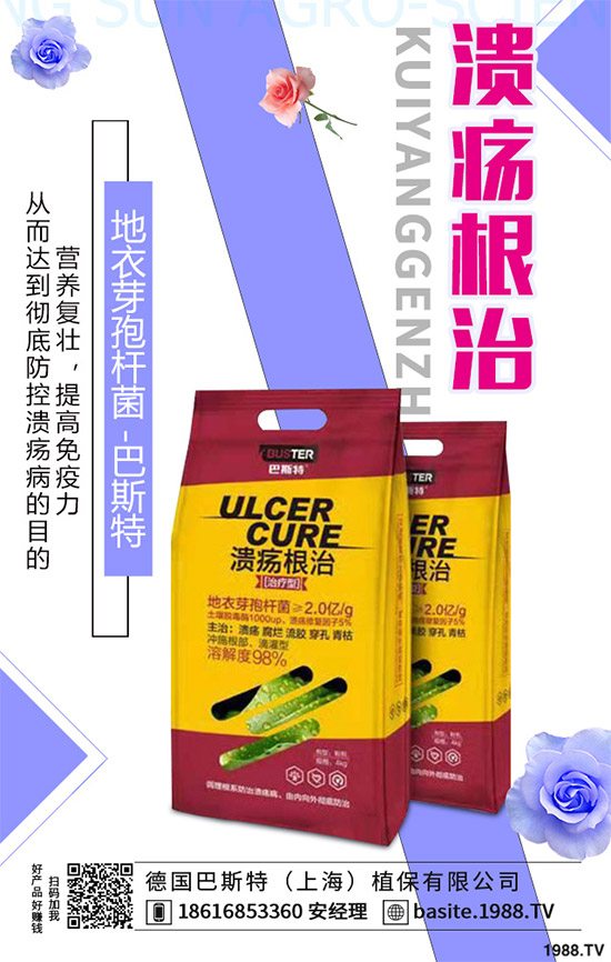 ������һ���Ǽ�(x��)���Բ��������e(cu��)���e(cu��)����Ƚ���������������ɷ����Ν�������