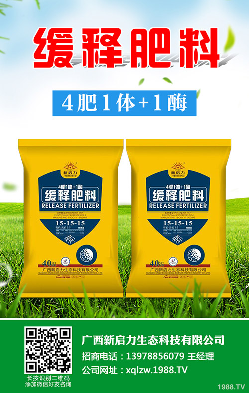     2019��8����Ѯ��(gu��)��(n��i)���@�Ј�(ch��ng)�r(ji��)������C�Ϸ���