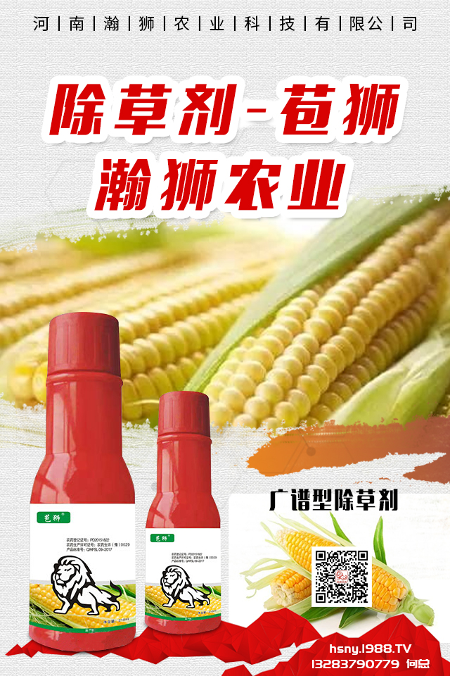 �������x����N���ò������������x����N����B