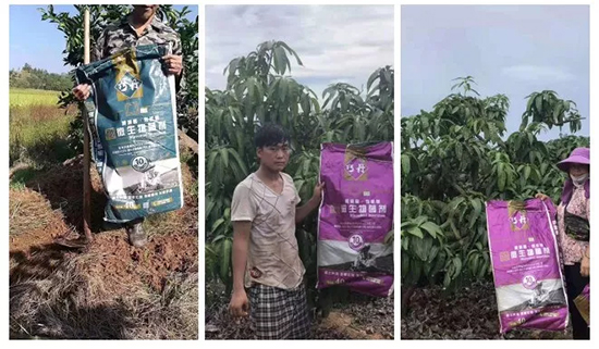 ��΢�������+�ЙC�ʡ�Ч��ţ����ʩһ���������ʡ���ָ߮a(ch��n)��