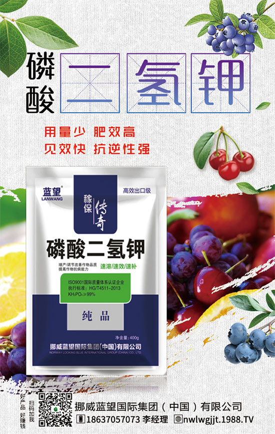 ������t����ֲע�����(xi��ng)��������t������ڹ�������