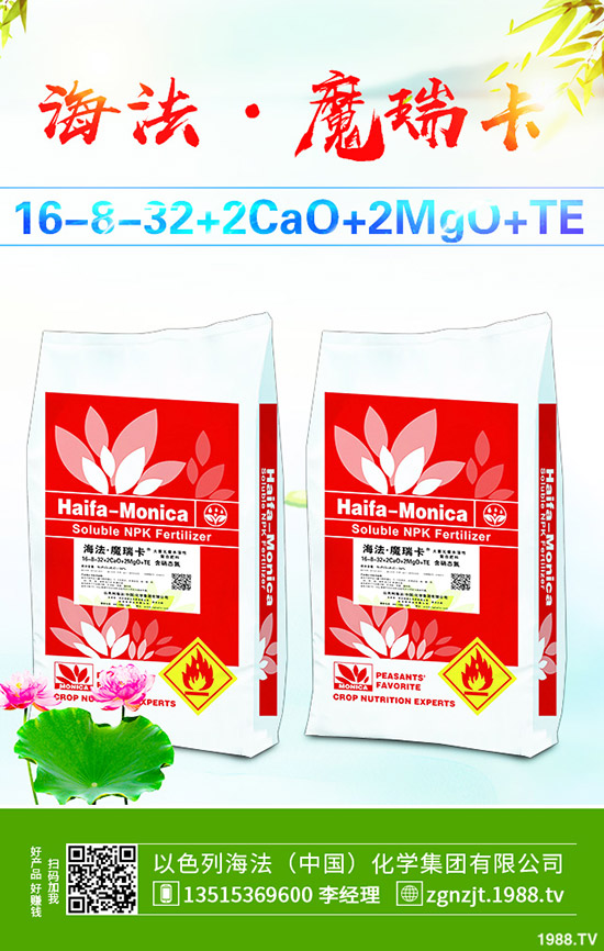     2019��9��10�ս������¸��؅^(q��)��(f��)�Ϸ��������S��rһ�[