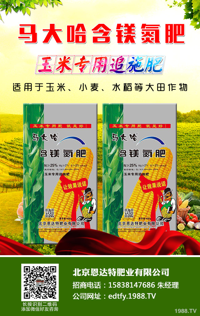 ���[��������ô���������[�������ɹ���