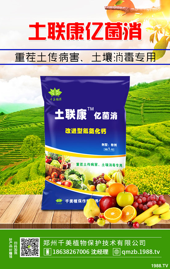     �＾����������ι������＾����������ֲ�������g(sh��)��