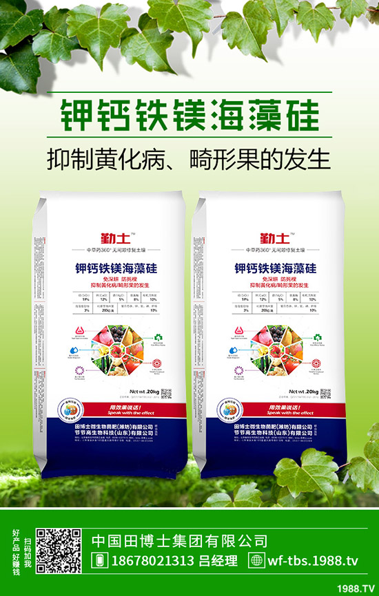 �ﶬ�����S����ηNֲ���ﶬ�S�ϵķNֲ����������������