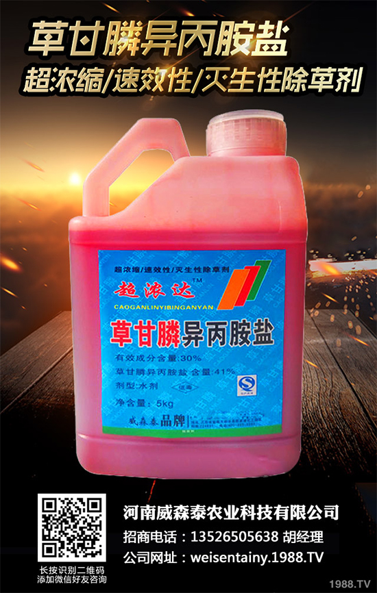 �p���ǲݰ�