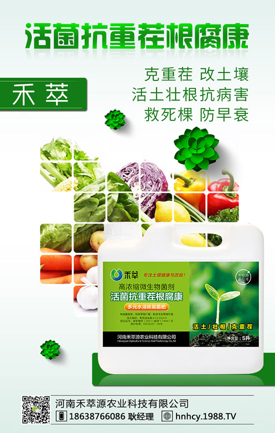 ����÷��ô�޽�������÷�޽ӷ�����