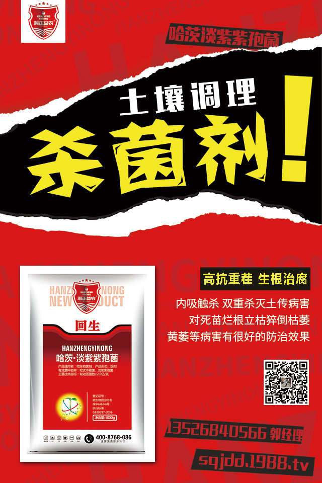 ��������������ô�k�����Ӽ޽ӿɱ�����������