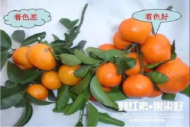 ��Ȼ������ɫ�����������r�t�ء��Ⱦ����