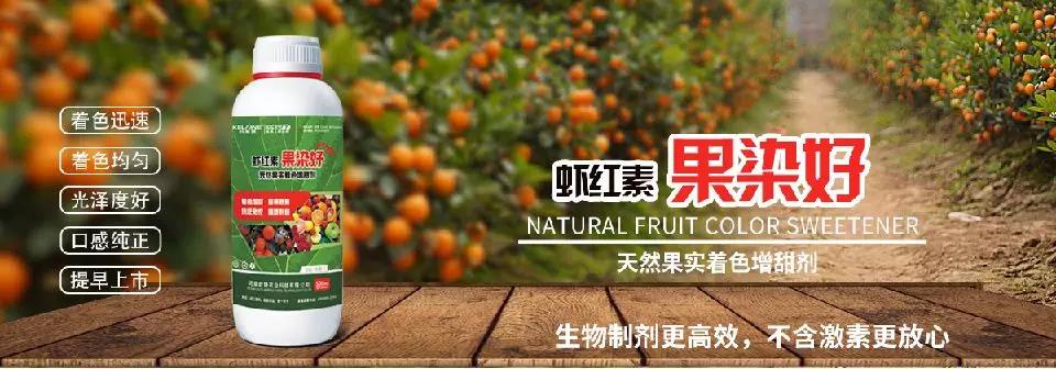 ��Ȼ������ɫ�����������r�t�ء��Ⱦ�ã�