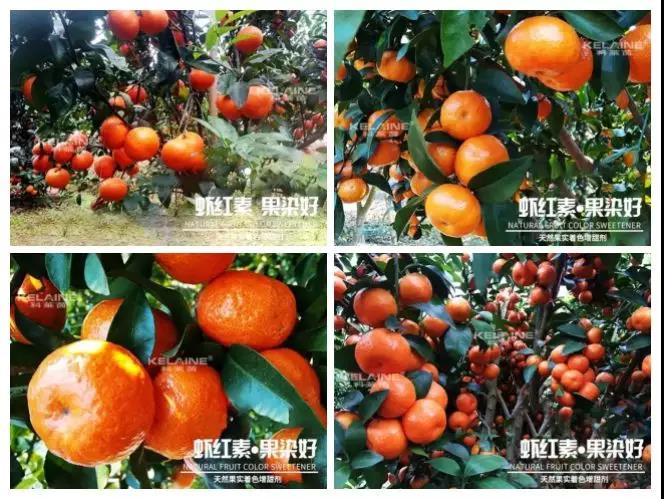 ��Ȼ������ɫ�����������r�t�ء��Ⱦ����