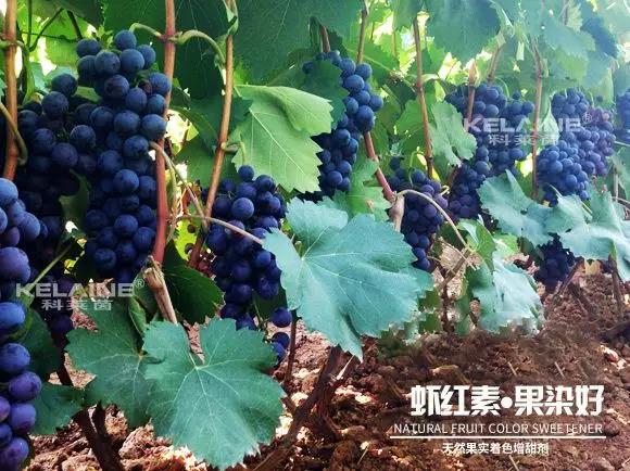 ��Ȼ������ɫ�����������r�t�ء��Ⱦ����