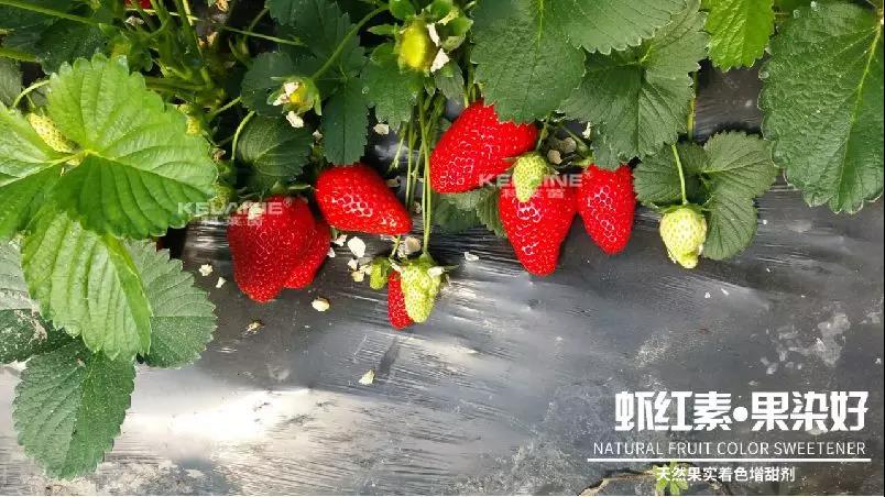 ��Ȼ������ɫ�����������r�t�ء��Ⱦ����