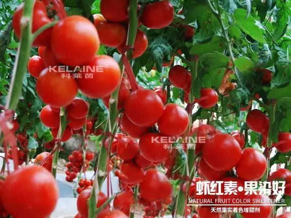 ��Ȼ������ɫ�����������r�t�ء��Ⱦ�ã�