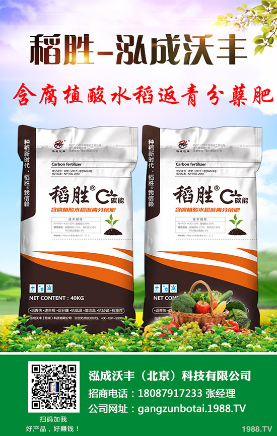     �R��������ڣ����؃r�񯂝q�����������������2019-9-12