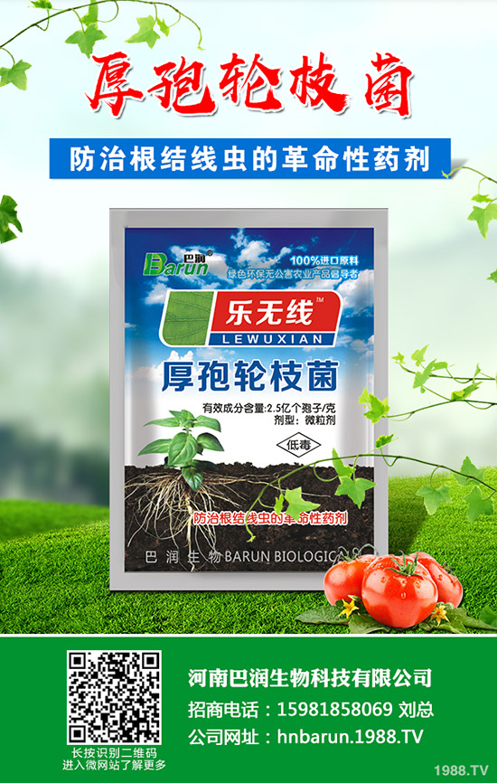 ��֦���~��ô�޼�����֦���~�޼�������