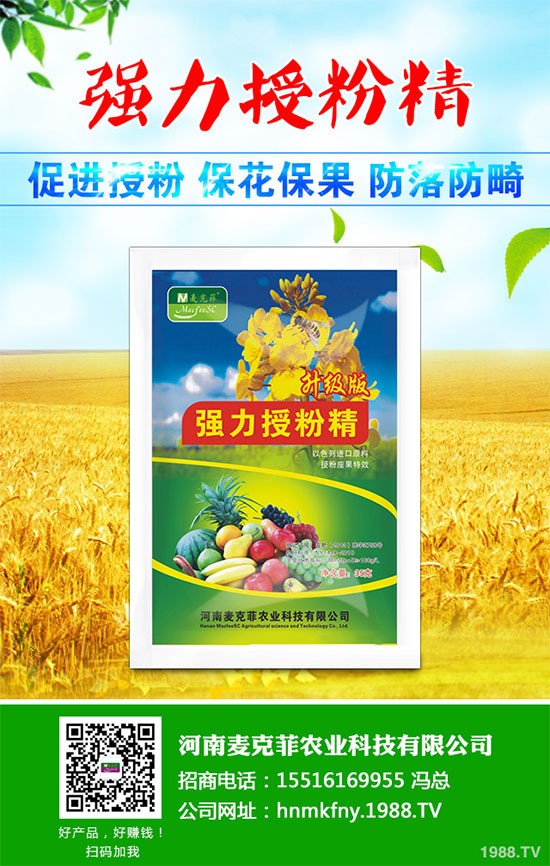 �������Щ�I(y��ng)�B(y��ng)�r(ji��)ֵ���Խ������Щ��̎����˵Ĺ�Ч�c����