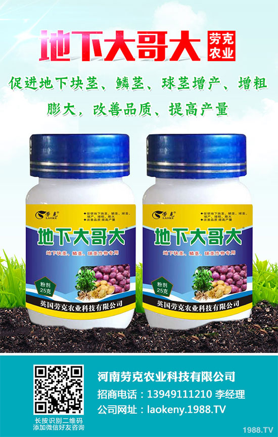 �������Щ�I(y��ng)�B(y��ng)�r(ji��)ֵ���Խ������Щ��̎����˵Ĺ�Ч�c����