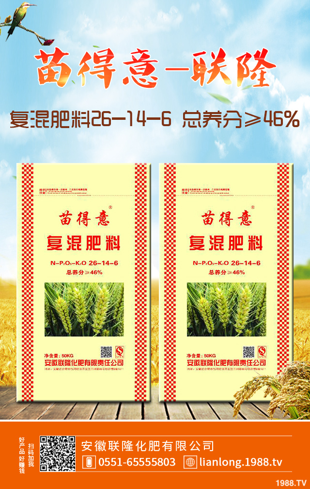 С����ô����Ч������С�����������g����