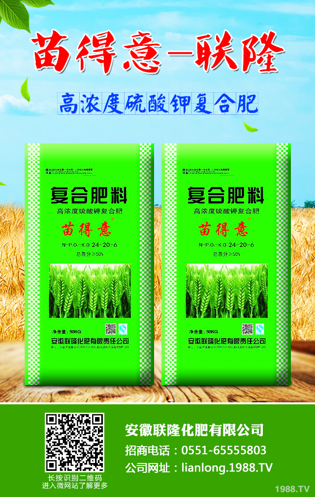 С����ô����Ч������С�����������g����