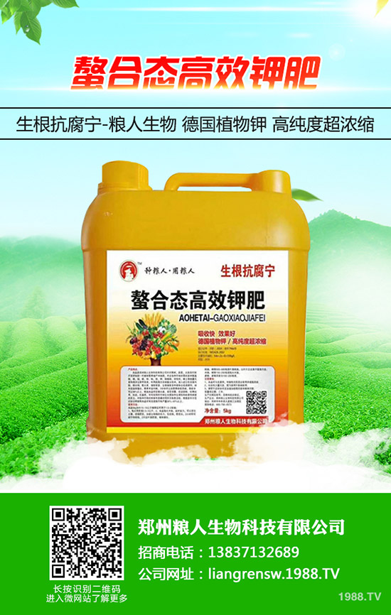 ���y�����ʩ�ʣ����y���߮a(ch��n)ʩ��Ҫ�c��