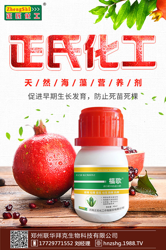 ���y����ʲô���ã����y���Ĺ�Ч�cʳ�ý�����