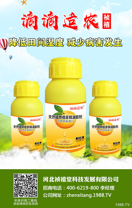 �＾��ݮ��ι������ܸ߮a(ch��n)���＾��ݮ��ֲ�������g(sh��)��