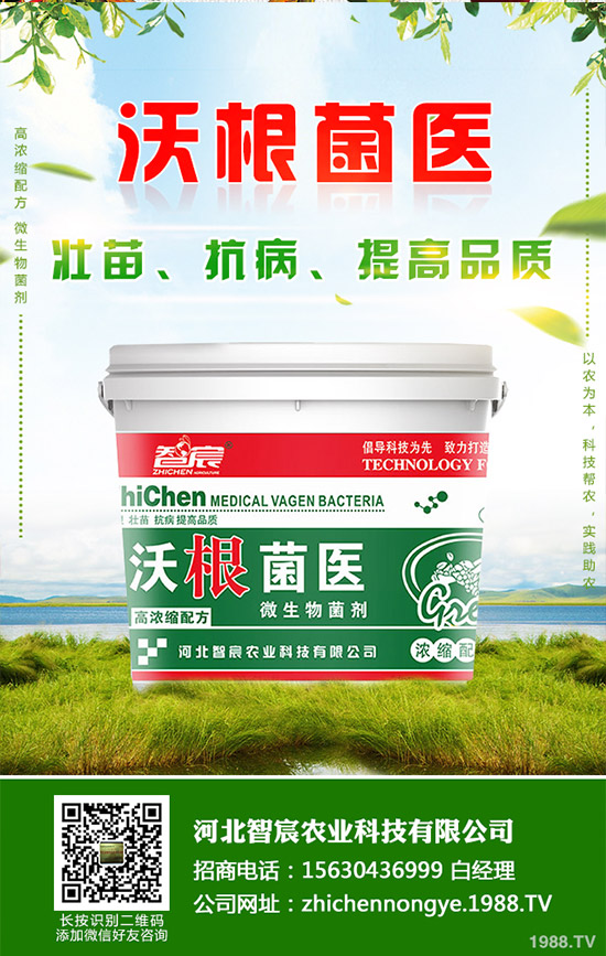 �Ծ��Ĳ�����Щ��̎�����Ĳ˵Ĺ�Ч��������