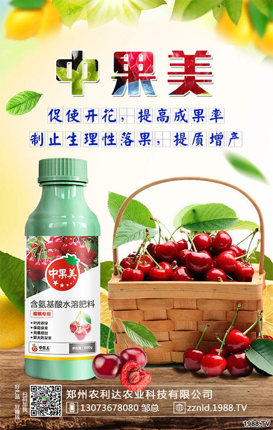 ��ʲô�r(sh��)��N�Nֲ���𽷷NֲҪ�c(di��n)��