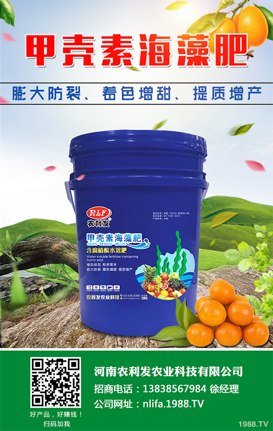 ���[�ɼ���զ���������ӽ�Q�����[�ɼ��ԭ�򼰷���