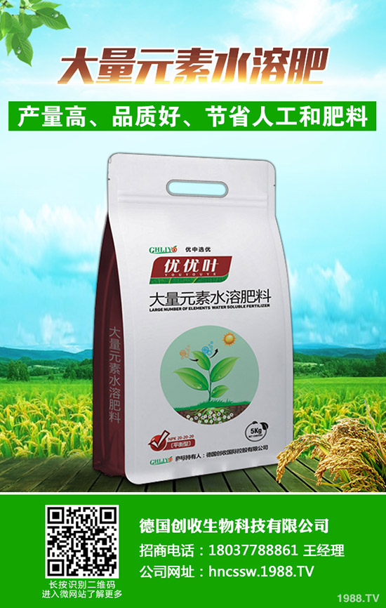     ���Շ���(n��i)���@�r�������߄��A(y��)�y�C���u��2019��9��18��