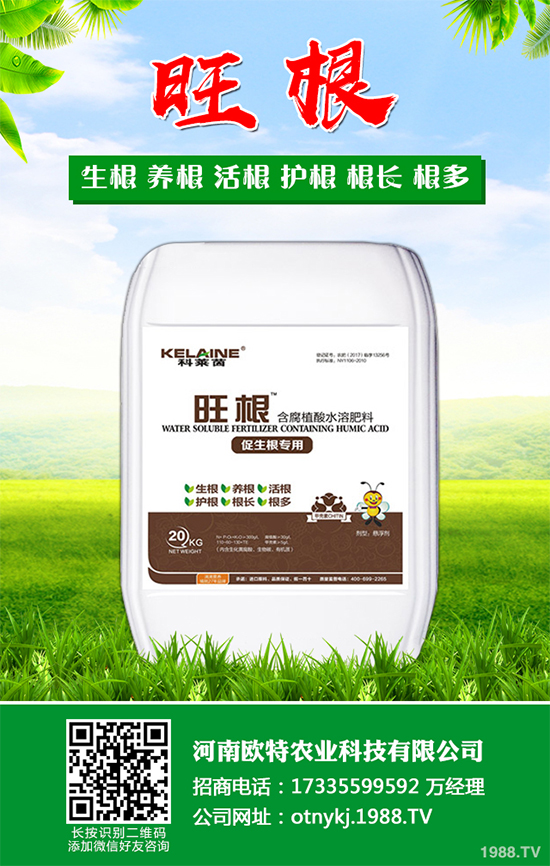 ���[�ɼ���զ���������ӽ�Q�����[�ɼ��ԭ�򼰷���