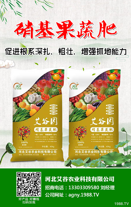 花椰菜與西蘭花的營養(yǎng)價值有什么不同，花椰菜西蘭花的區(qū)別有哪些？