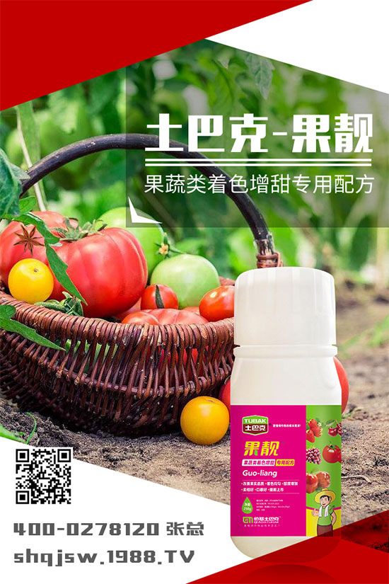 �ϹϷNֲ�r�g��ʲô�r�����ϹϵĲ��N���������༼�g!