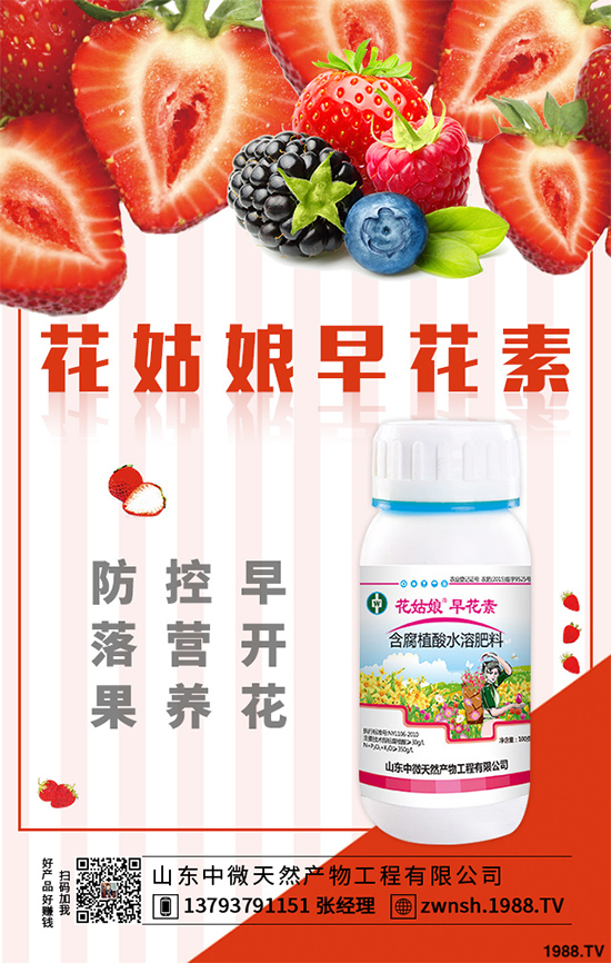 ���[���ڲ�������ЩΣ�����F(xi��n)��ԓ����A�������[���ڲ����A����ʩ