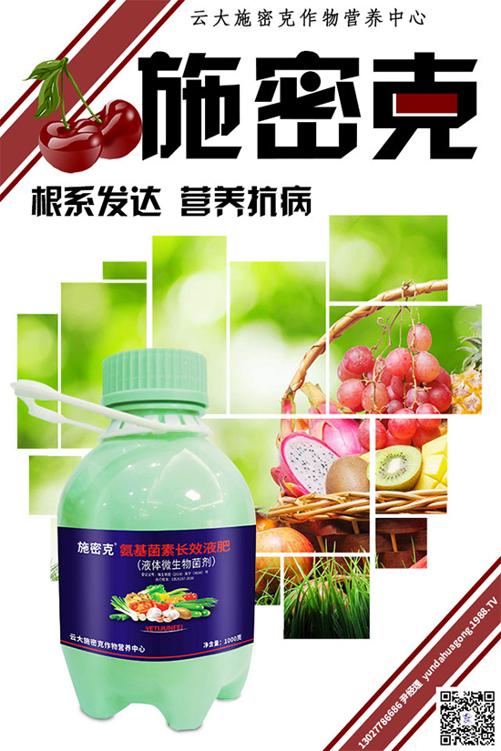 ���[˪ù��Σ���޴����������������������[˪ù�����δ�ʩ