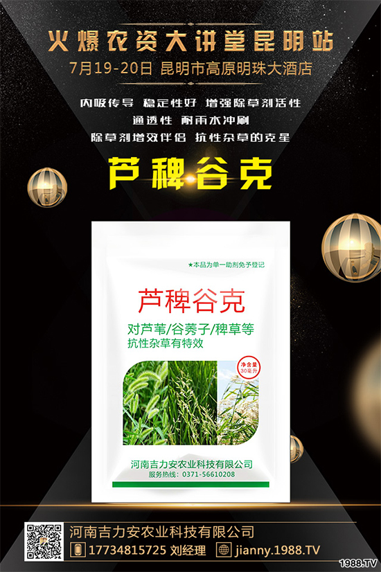 �����݄��r��