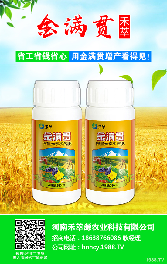 ���[ܛ����Σ���@ô��������ԓ��η��������[ܛ�����İY����η���