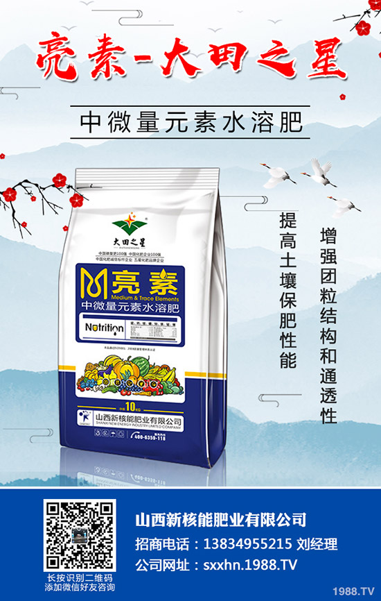 �＾�߲�����������＾���õ������С���������g(sh��)��