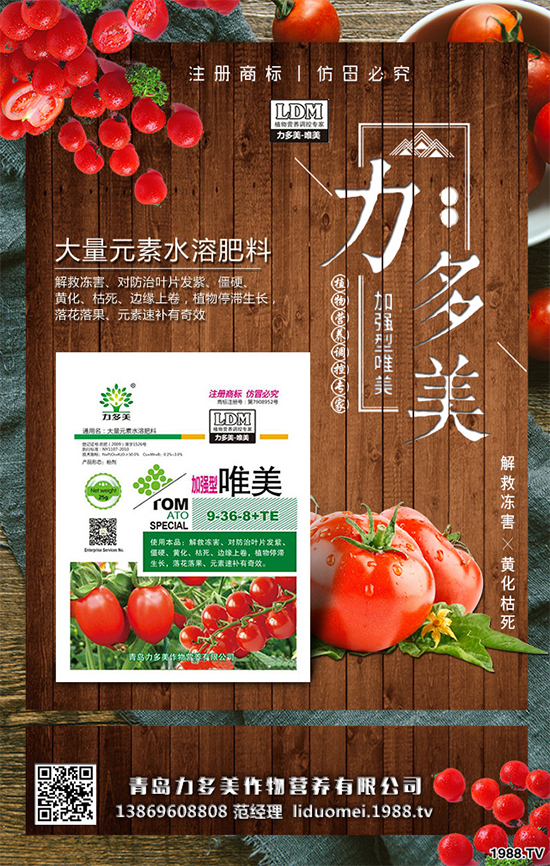 �㶹ԓ��ô�N���㶹�Ĳ��N�������Nֲ�������g(sh��)