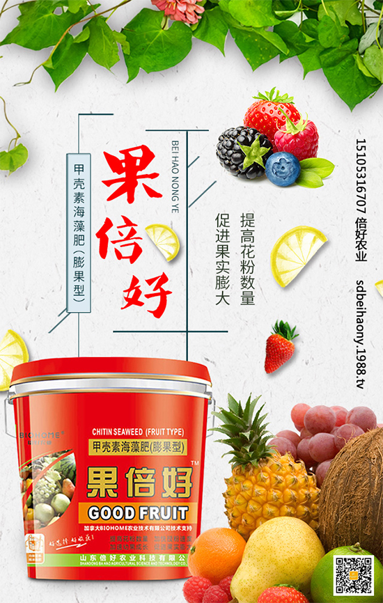 ʥŮ��ʲô�r�g�Nֲ��ʥŮ���Nֲ���g(sh��)Ҫ�c����Щ��