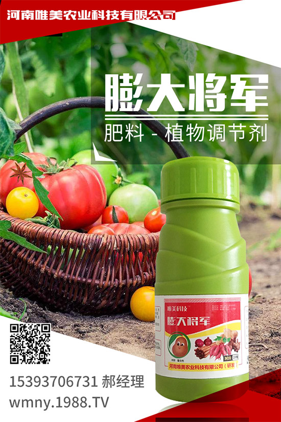 �＾���ҵĹ����(n��i)�ݣ��＾�����߲˷Nֲע�����(xi��ng)��