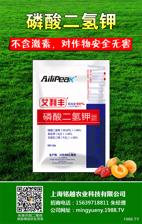 �㶹����������ЩΣ�����F(xi��n)��ԓ���ӷ������㶹���������η���