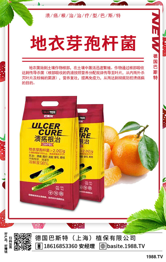 �t��̦��ô�N���t��̦�ķNֲ�r�g���Nֲ������