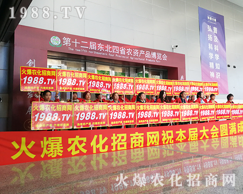 ��ʮ�����L��ֲ������1988.TV������ݿ�ǰ������